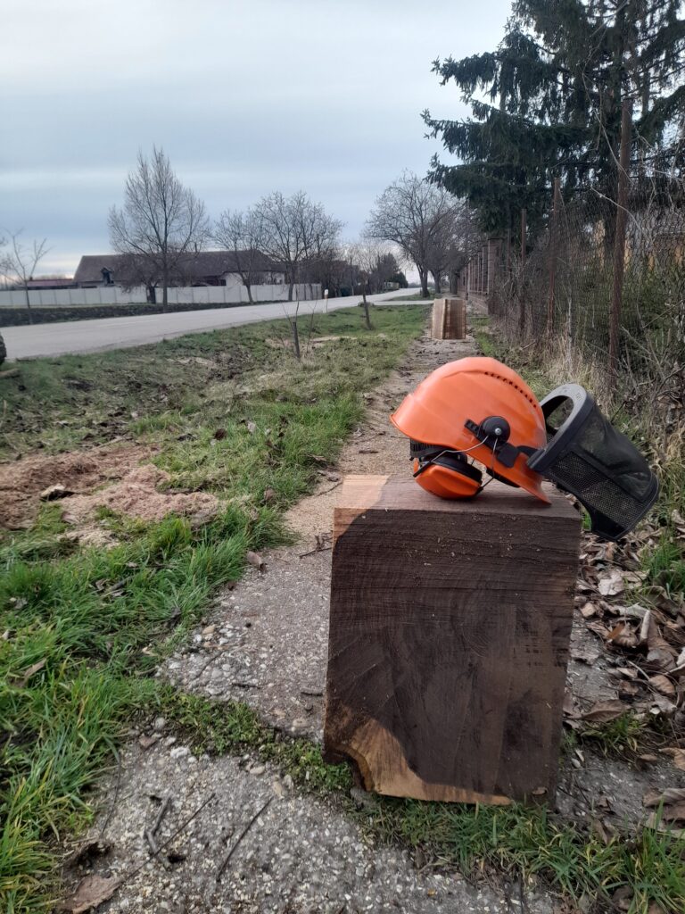 kácení a prořez stromů Děčín